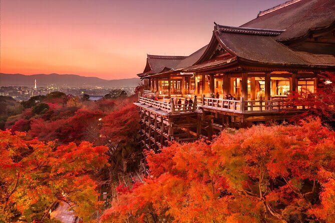 Osaka Kiyomizudera Fushimi Shrine and Nara Deer Sightseeing Trip - FAQ