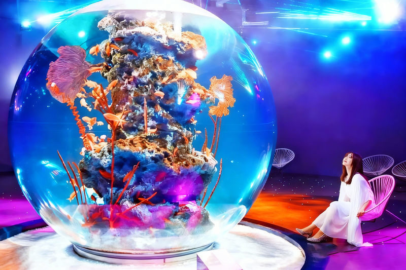 Osaka Kobe Herb Garden & átoa aquarium Full-Day Tour - Key points to know before you book