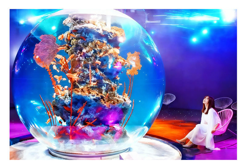 Osaka Kobe Herb Garden & átoa aquarium Full-Day Tour - Two Kobe attractions, one contrasting day