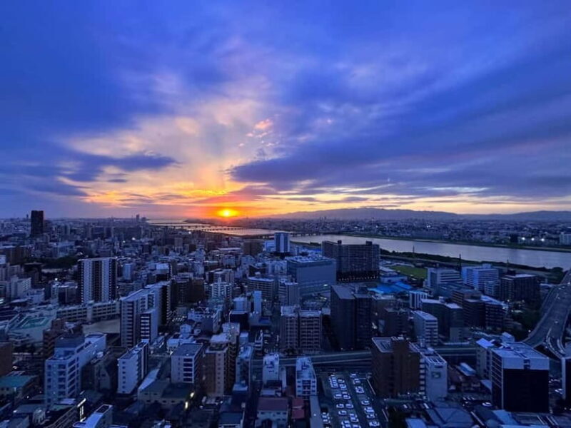 Osaka: Koji Kinutani Tenku Art Museum Entry Ticket - Final Thoughts