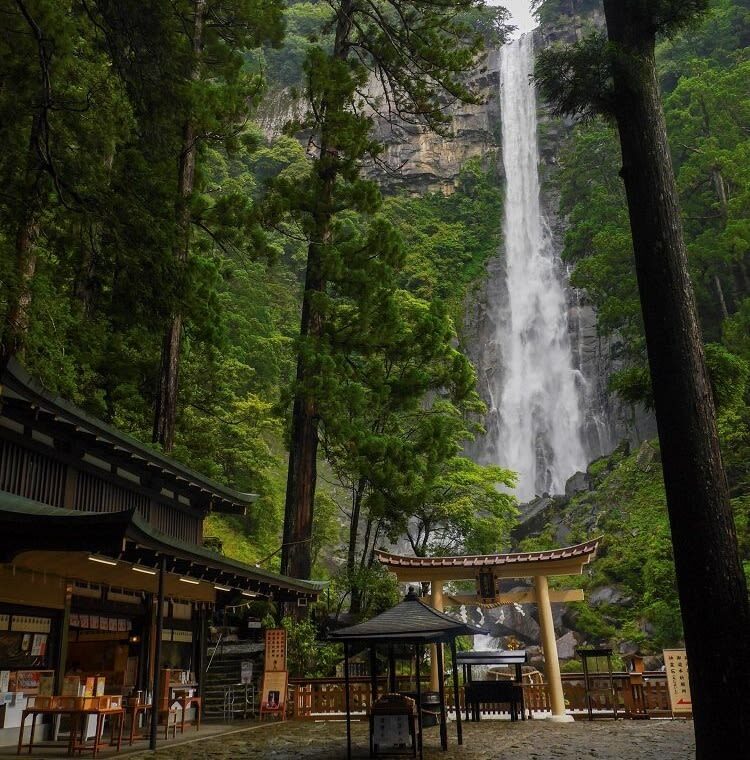 Osaka Kumano Nachi Taisha & Hayatama Taisha Full-Day Guided Tour - Kumano Nachi Taisha and the focus of the day