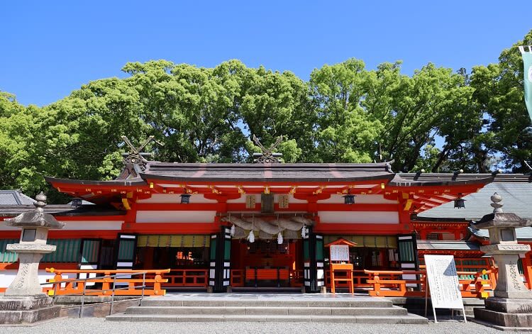 Osaka Kumano Nachi Taisha & Hayatama Taisha Full-Day Guided Tour - Should you book it?