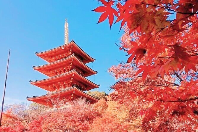 Osaka/Kyoto: Amanohashidate, Ine Bay & Nariaiji Bus Tour w/ Lunch - Key Points