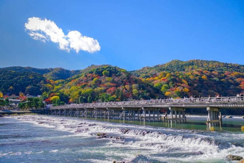 Osaka/Kyoto: Arashiyama, Amanohashidate & Tango Railway Tour - Who Should Consider This Tour