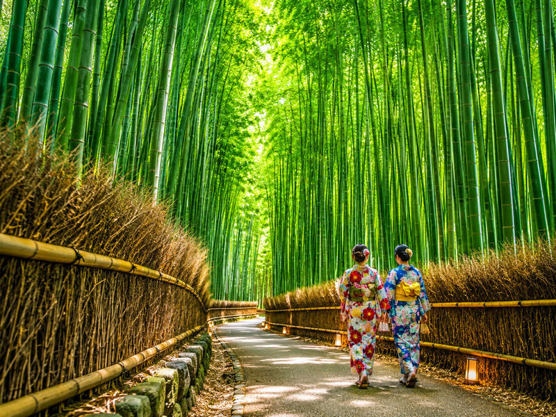 Osaka/Kyoto Departure: Kinkaku-ji Temple & Arashiyama Bamboo Grove Togetsukyo Bridge & Sanjusangendo Temple & Kiyomizu-dera Temple Sannenzaka Ninenzaka World Heritage Ancient Capital Kyoto One-Day Tour (Can be upgraded to exclusive A5 top-grade Kobe beef) - Who should book this Kyoto day trip?