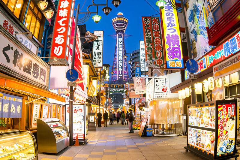 Osaka & Kyoto Full-Day Private Tour with English Driver - What the private vehicle does, and does not, solve