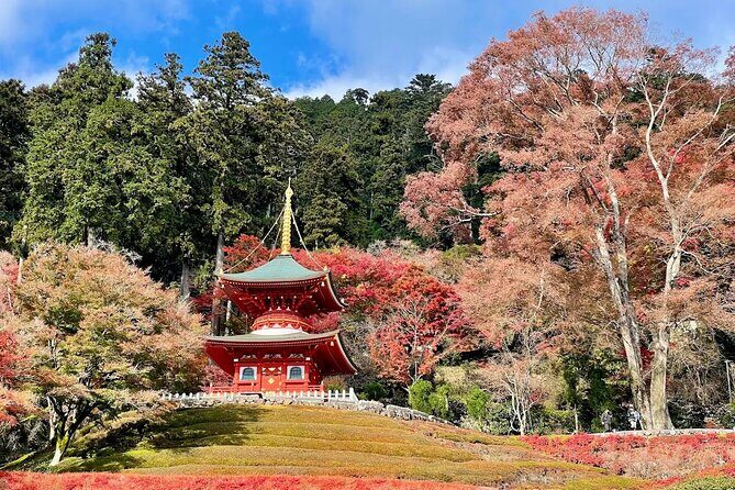 Osaka / Kyoto: Katsuoji, Arashiyama & Kinkaku-ji One Day Tour - The Sum Up