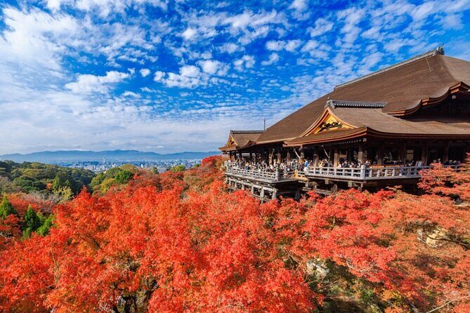 Osaka / Kyoto: Kinkaku-ji, Kiyomizu-dera Temple, Sannenzaka & Uji - What Makes This Tour Stand Out?