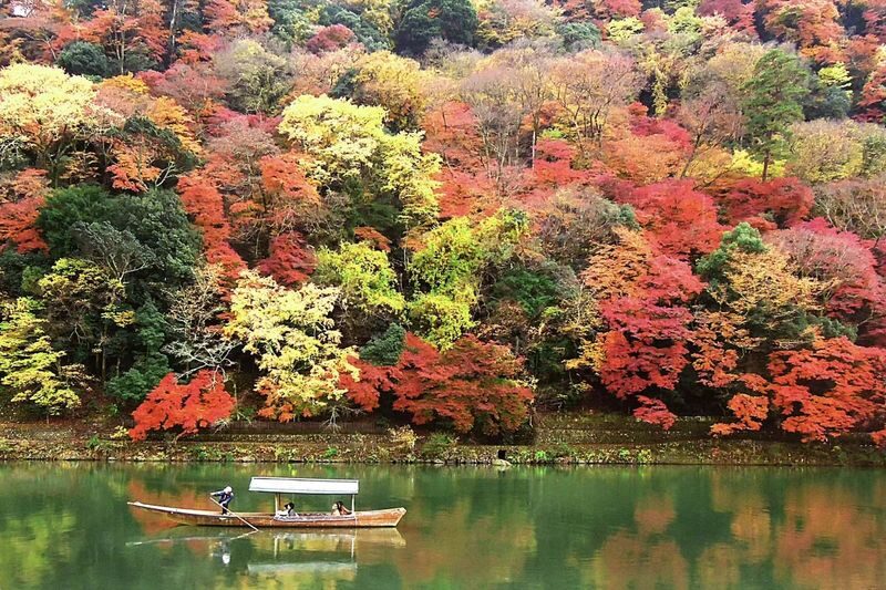 Osaka Kyoto & Nara Full-Day Private Tour with Customizable Itinerary - Kyoto’s bamboo grove, shrines, and market streets