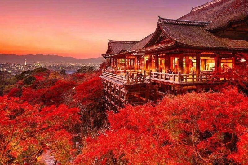 Osaka, Kyoto, Nara, Kobe, & Awaji Island Private Car Charter Tour - Is the price worthwhile?
