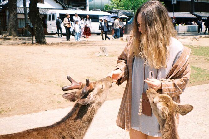 Osaka Kyoto Nara Private Transport with English Driver - Key Points