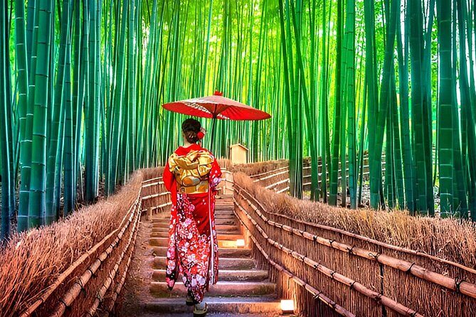 Osaka Kyoto Nara Private Transport with English Driver - Who Should Consider This Tour?