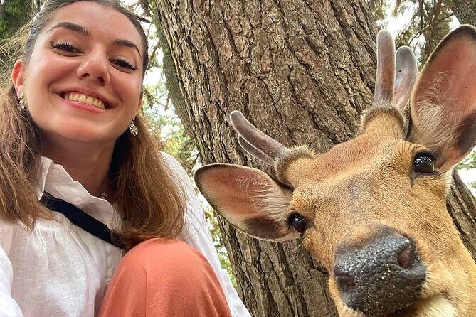 Osaka Kyoto Nara Private Transport with English Driver - FAQ