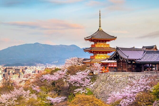 Osaka & Kyoto & Nara Top Hightlights English Speaking Tour - A Deep Dive into the Tour Experience