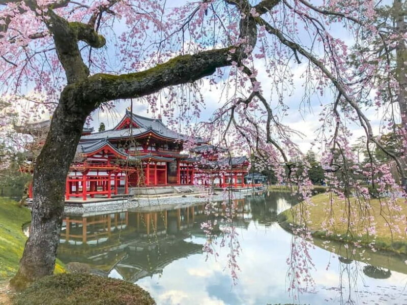 Osaka: Kyoto & Nara & Uji Historical and Scenic One-Day Tour - FAQs