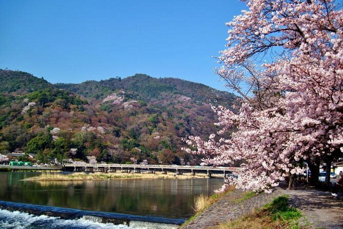 Osaka: Kyoto Scenic Day & Night Bus Tour with dinner (Kobe Beef) - Transportation and Group Size