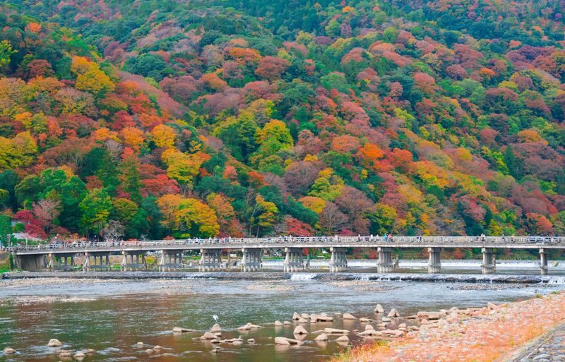 Osaka & Kyoto Scenic Spots One-Day Tour: Katsuoji Temple Prayer & Kinkaku-ji Temple Pilgrimage & Arashiyama Togetsukyo Bridge & Kimono Forest & Bamboo Grove Path & Nonomiya Shrine (Departing from Osaka or Kyoto) - Price and the real cost of the day