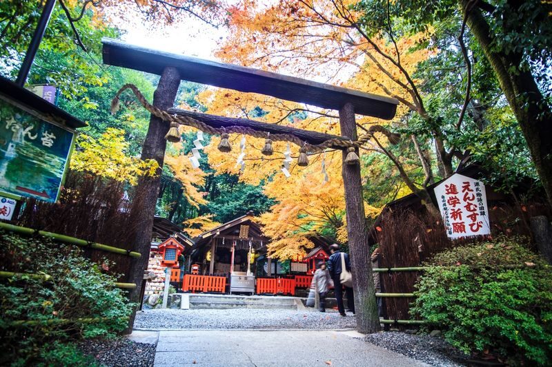 Osaka & Kyoto Scenic Spots One-Day Tour: Katsuoji Temple Prayer & Kinkaku-ji Temple Pilgrimage & Arashiyama Togetsukyo Bridge & Kimono Forest & Bamboo Grove Path & Nonomiya Shrine (Departing from Osaka or Kyoto) - Who will get the most from this tour