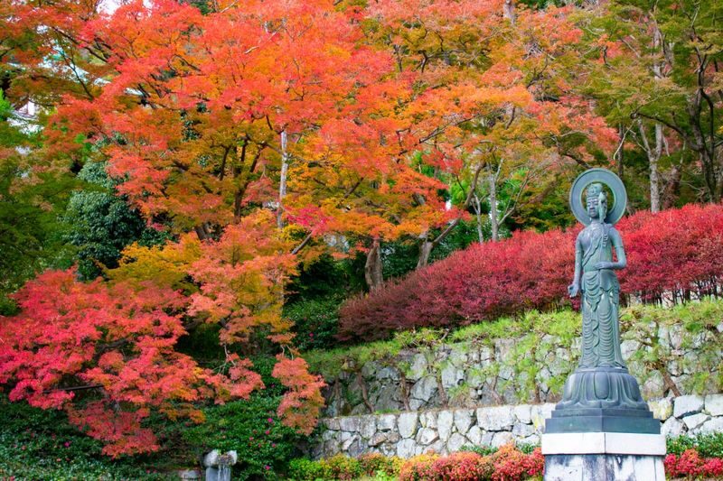 Osaka & Kyoto Scenic Spots One-Day Tour: Katsuoji Temple Prayer & Kinkaku-ji Temple Pilgrimage & Arashiyama Togetsukyo Bridge & Kimono Forest & Bamboo Grove Path & Nonomiya Shrine (Departing from Osaka or Kyoto) - Should you book it?