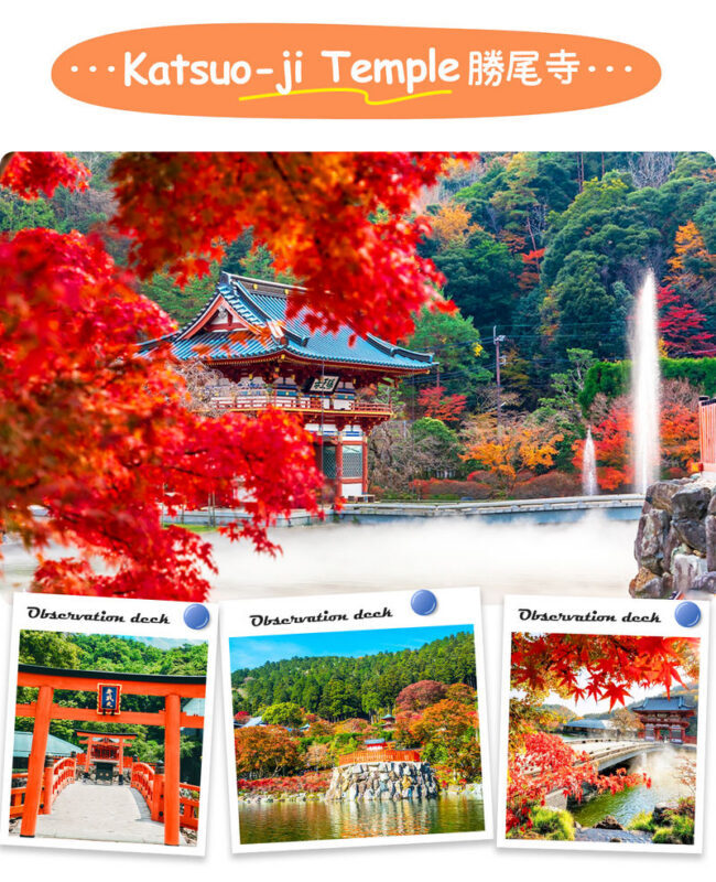 Osaka/Kyoto Secret Day Tour: Katsuo-ji Temple, Otagi Nenbutsu-ji Temple/Jojakko-ji Temple, Arashiyama (Departure from Osaka) - What the guide does, and what the guide may not do