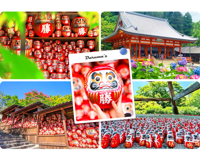 Osaka/Kyoto Secret Day Tour: Katsuo-ji Temple, Otagi Nenbutsu-ji Temple/Jojakko-ji Temple, Arashiyama (Departure from Osaka) - The real value: less transit planning, more variety