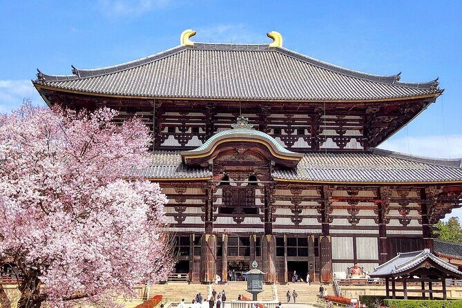 Osaka / Kyoto: Todai-ji, Nara Park, Fushimi Inari and Byodo-in - Experience the Best of Kyoto, Nara, and Uji in One Day