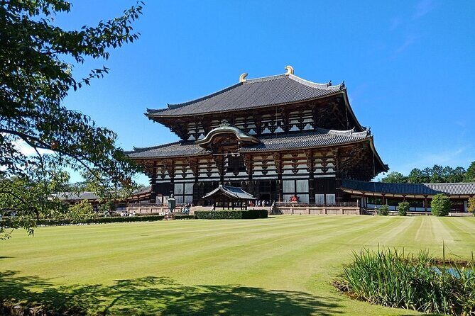 Osaka / Kyoto: Todai-ji, Nara Park, Fushimi Inari and Byodo-in - Key Points