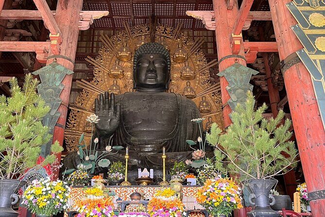 Osaka / Kyoto: Todai-ji, Nara Park, Fushimi Inari and Byodo-in - Who Should Consider This Tour?