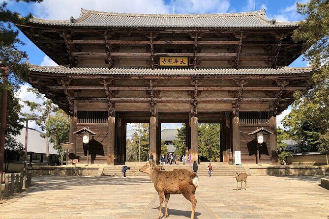Osaka / Kyoto: Todai-ji, Nara Park, Fushimi Inari and Byodo-in - Final Thoughts on Value and Experience