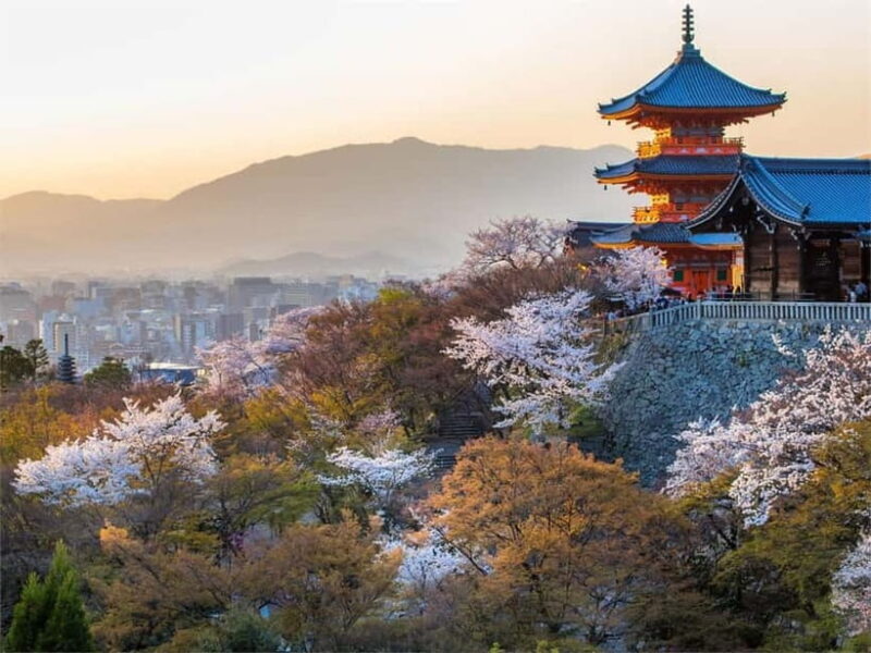 Osaka: Kyoto & Uji Historical Sites and Scenic Delights Tour - FAQ