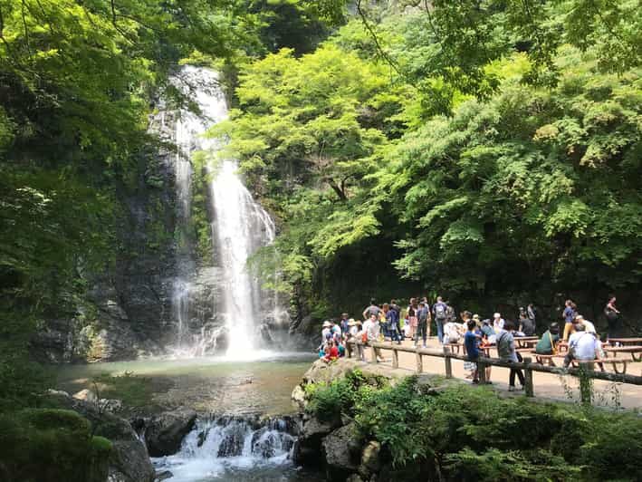 Osaka: Mino Forest Walk and Giant Waterfall with Local Lunch - A Deep Dive into the Mino Forest Walk and Waterfall Tour