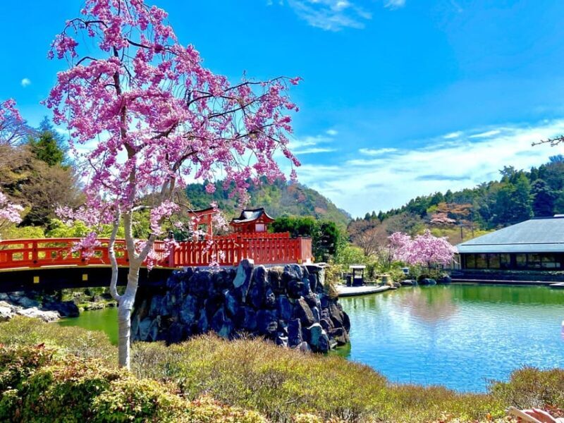 Osaka: Minoh, Katsuoji Temple, & Minoh Falls Full-day Tour - Discovering Osaka’s Hidden Natural and Cultural Gems