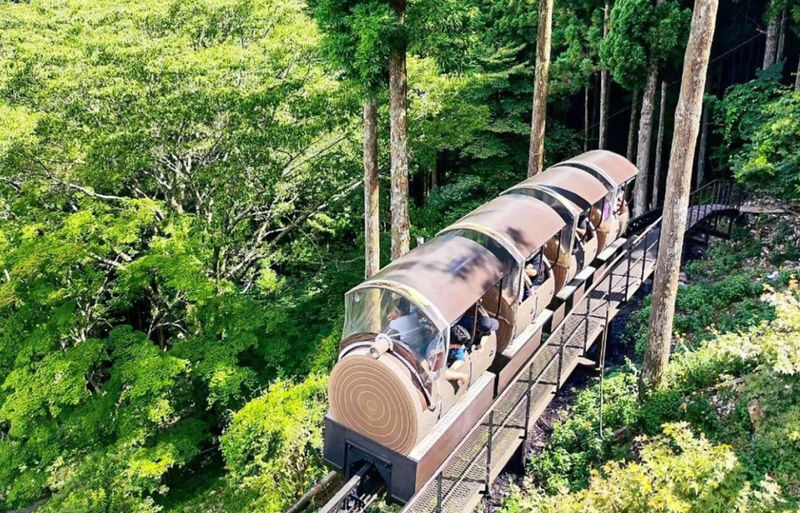 Osaka Mitarai Valley, Menfudo Cave & Tenkawa Shrine Tour - A day away from Osaka’s city streets