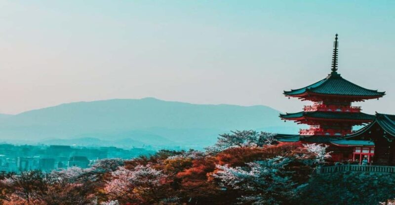 Osaka : Must-see & Hidden Gems Walking Tour - An In-Depth Look at the Tour Experience