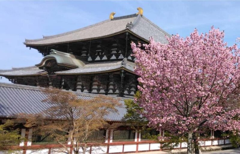 Osaka: Nara and Uji Day Trip with Deer Park and Hot Spring - Key Points