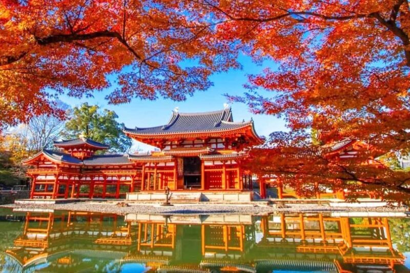 Osaka: Nara and Uji Day Trip with Deer Park and Hot Spring - Who Will Love This Tour?