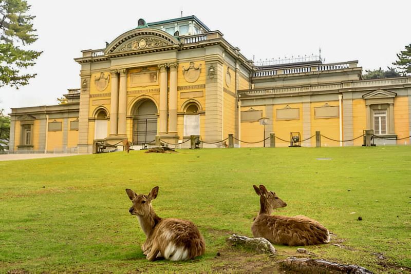 Osaka & Nara Full-Day Private City Highlights Tour - Osaka: useful scope, few confirmed details
