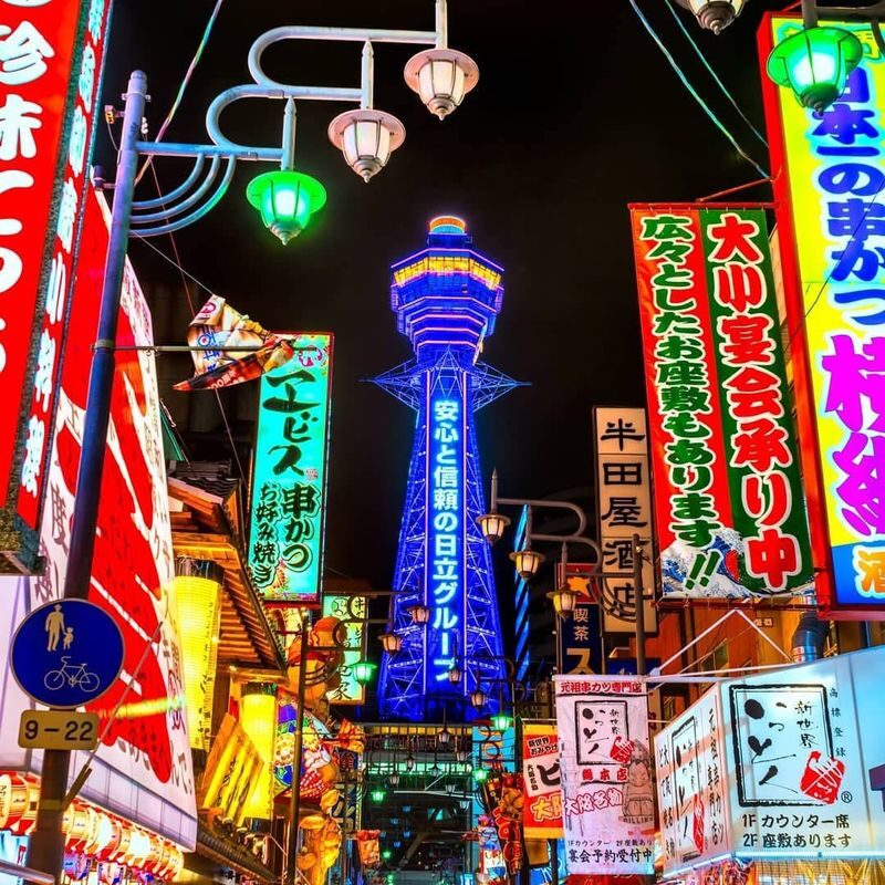Osaka & Nara Full-Day Private City Highlights Tour - Who should choose this tour?
