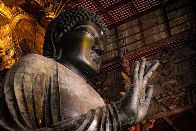 Osaka & Nara in 1-Day by Private Van with Local Japanese Guide - Key Points