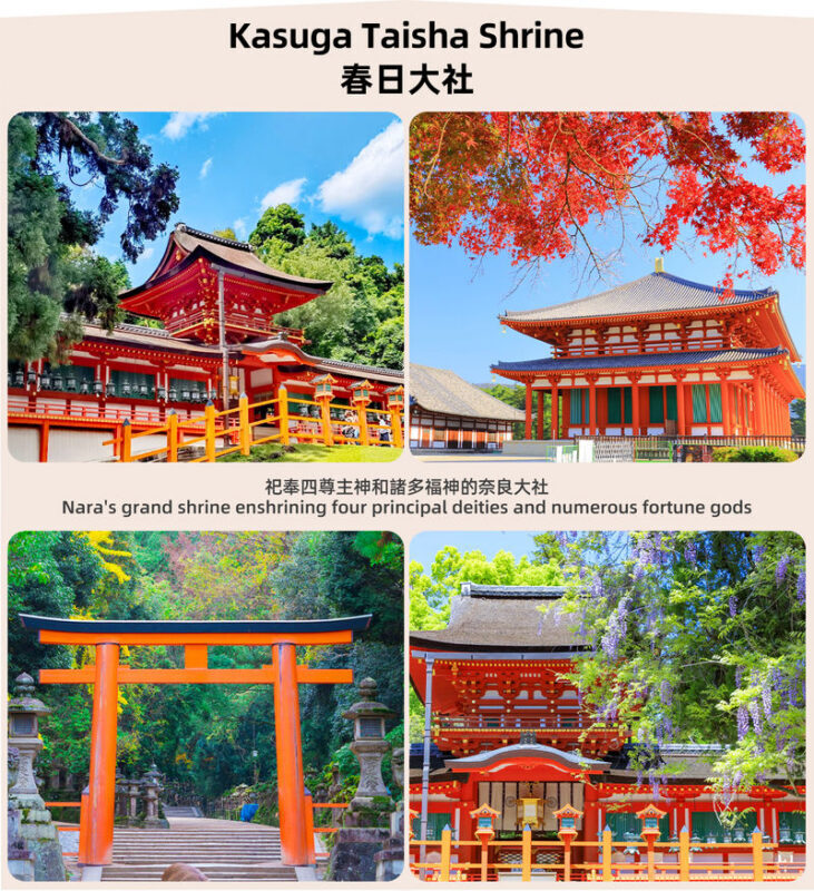 Osaka Nara Park and Mt. Ikoma Amusement Park Full-Day Guided Tour - Transport saves effort, but check the vehicle