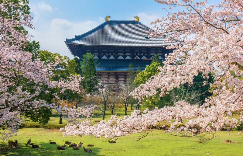 Osaka Nara Park, Arima Onsen & Kobe Port One-Day Tour - Kobe Port: a final contrast