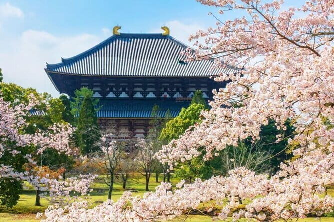 Osaka: Nara, Todaiji, Uji Matcha, and Hot Spring Tour - Authentic Insights from Travelers