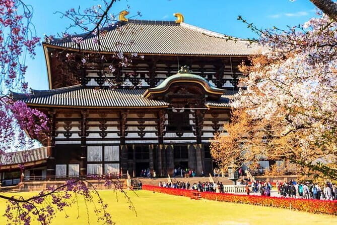 Osaka: Nara, Todaiji, Uji Matcha, and Hot Spring Tour - Final Thoughts: Is This Tour Right for You?