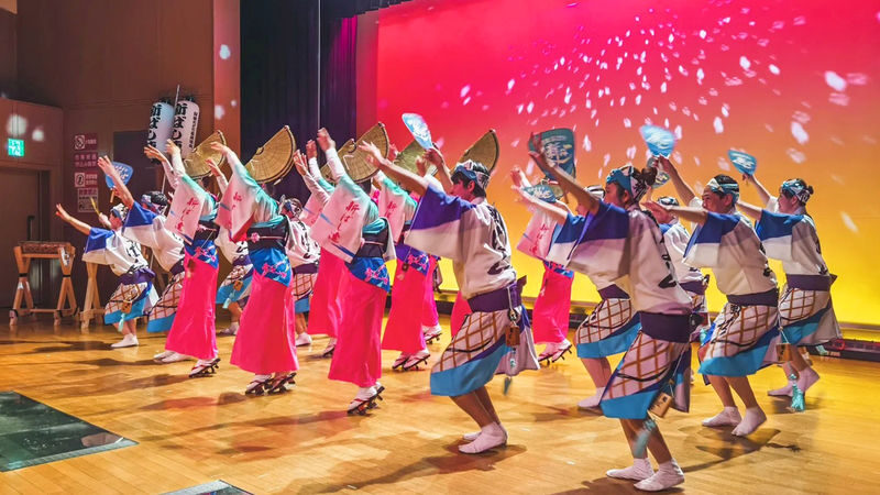 Osaka Naruto Whirlpool and Awa Dance Day Trip - Should you book this Osaka day trip?
