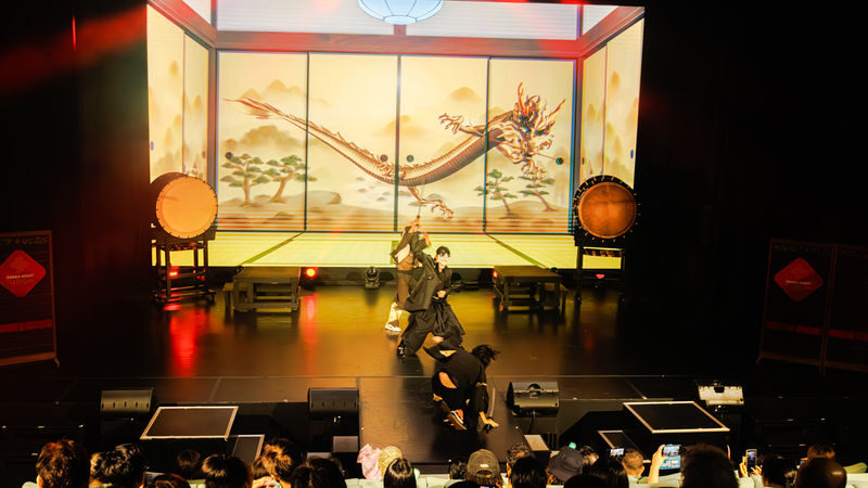 OSAKA NIGHT FUSION Japanese taiko kabuki samurai dance show - Who is likely to enjoy this show?