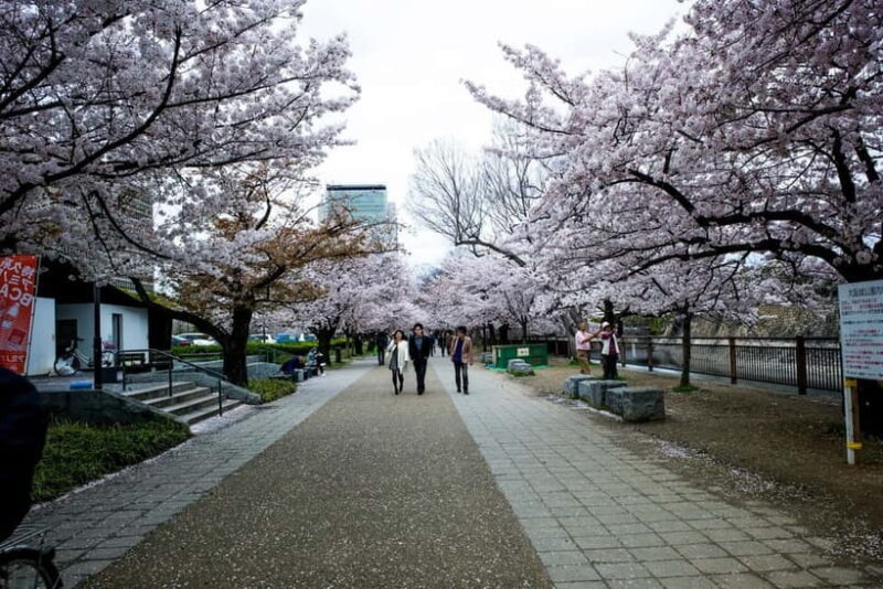 Osaka: Osaka Castle 3 hours Historical Walking Tour - An In-Depth Look at the Osaka Castle Guided Tour