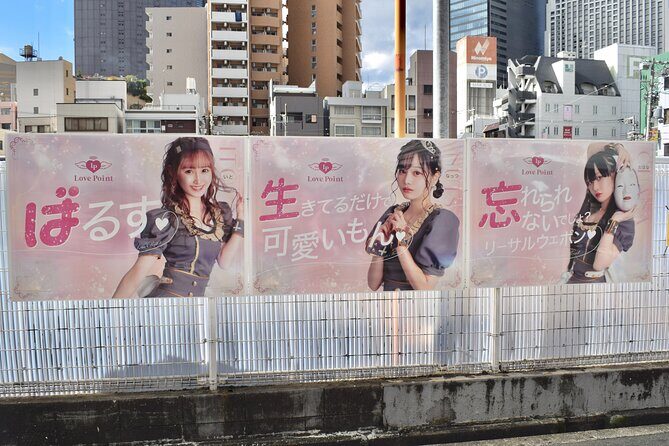 Osaka Otaku Tour - Who Would Enjoy This Tour?