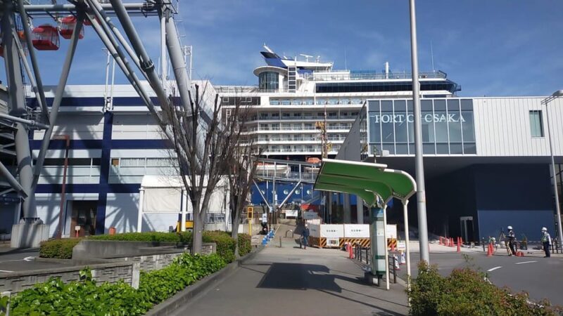 Osaka: Private 4/5/6h Tour For Cruise Ship Passengers - A Detailed Look at the Experience