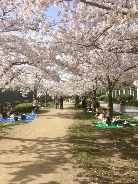 Osaka: Private and Fully Customized Tour with Hotel Meet Up - Transportation and Logistical Details