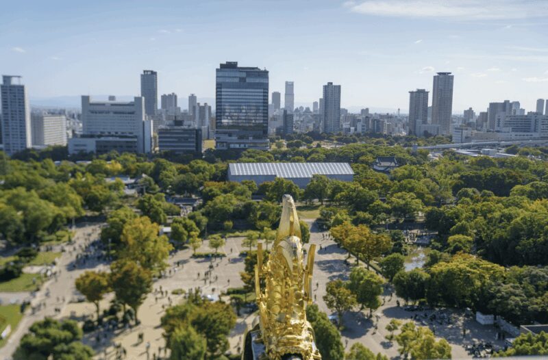 Osaka Private Custom Tour with Local Guide - Practicalities & Considerations